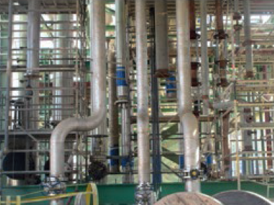 2024-07-16 01_03_38-BROCHURE DLE.pdf - Adobe Acrobat Pro